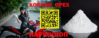 сатива Будённовск