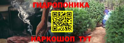 сатива Будённовск