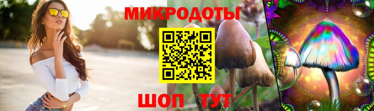 Галлюциногенные грибы Cubensis  Вход с VPN  Рыбинск 